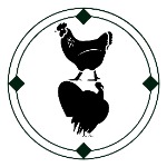 گوشت سفید