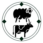 گوشت قرمز